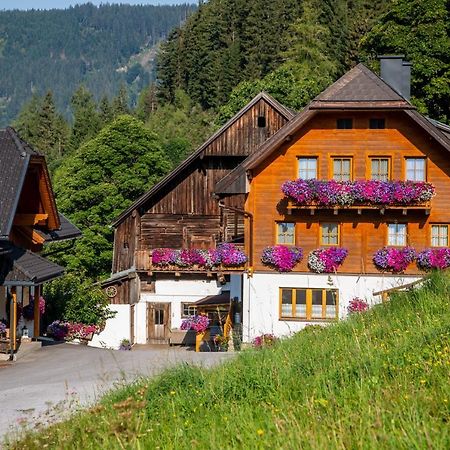 Bio-Bauernhof Grundlehnerhof Guest House Ramsau am Dachstein Eksteriør bilde