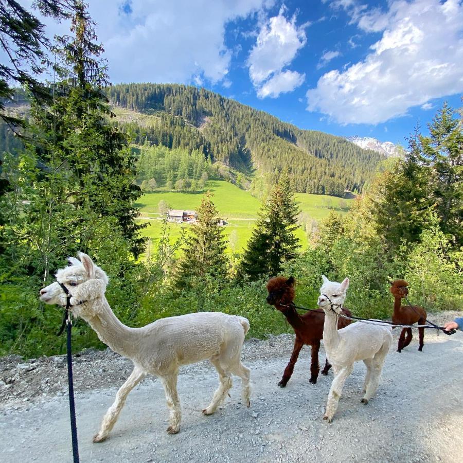 Bio-Bauernhof Grundlehnerhof Guest House Ramsau am Dachstein Eksteriør bilde