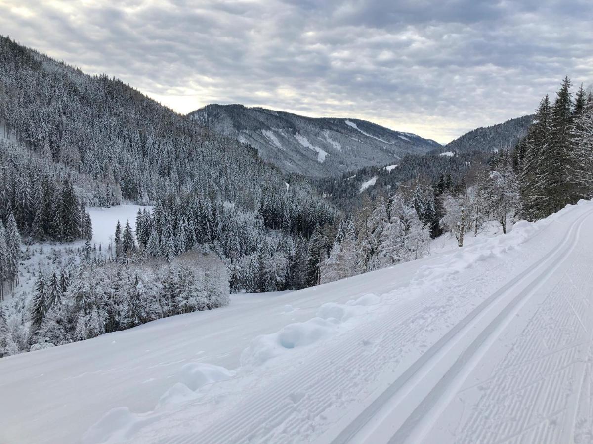 Bio-Bauernhof Grundlehnerhof Guest House Ramsau am Dachstein Eksteriør bilde