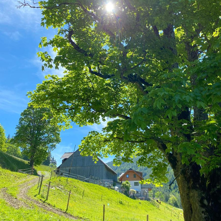 Bio-Bauernhof Grundlehnerhof Guest House Ramsau am Dachstein Eksteriør bilde